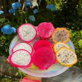 Dragon Fruit Plant (Yellow Variety)