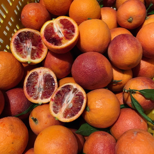 Blood Orange Tree (Moro/Sanguinelli)