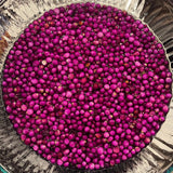 American Beautyberry Shrub