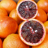 Blood Orange Plant (Moro/Sanguinelli)