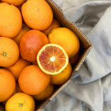 Sanguinello Blood Orange Tree