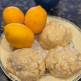 Meyer Lemon Tree