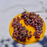 Red Toffee Grape Vine (Vitis vinifera – Sweet Candy-Like Red Grapes)