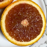 Sanguinello Blood Orange Tree