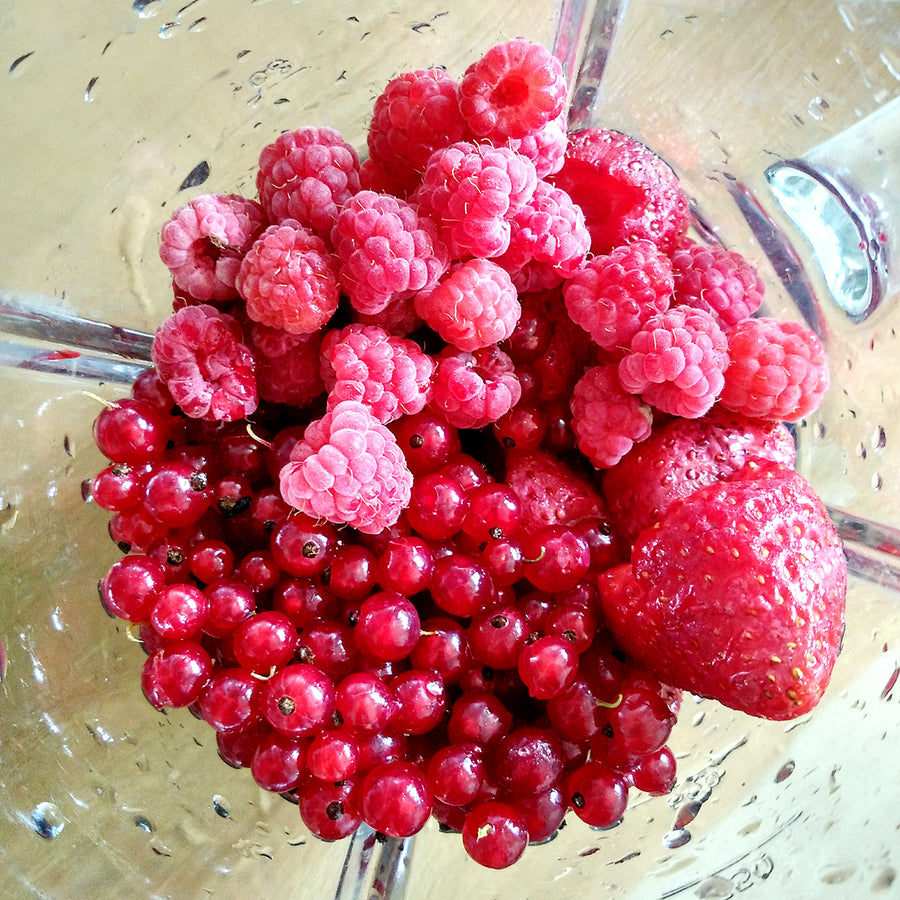 Raspberry Plant
