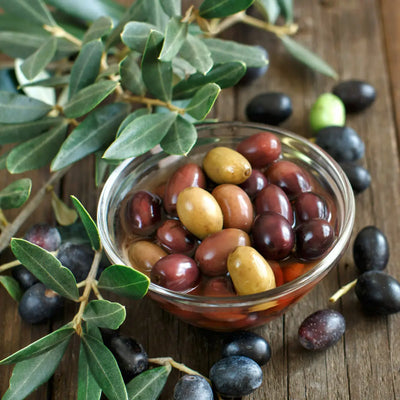 Olive Tree (Koroneiki Variety)