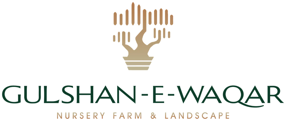 Gulshan-e-waqar Nursery