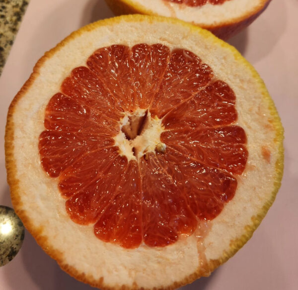 Rio Red Grape fruit